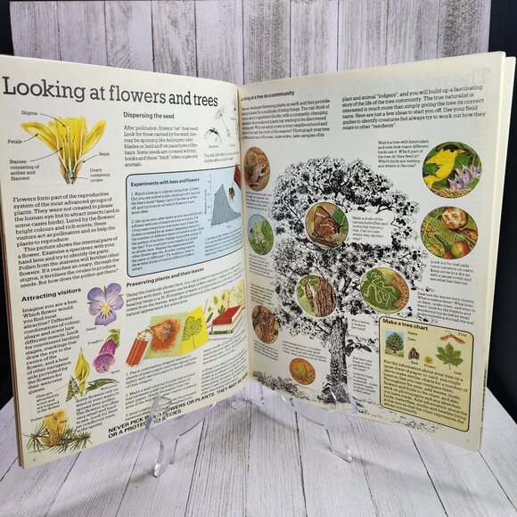 Vintage The Young Naturalist : An Usborne Guide Book - Paperback - Picture 4 of 5